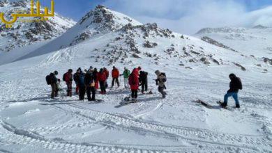 لوحة طبيعية آسرة تجمع بين البياض الناصع