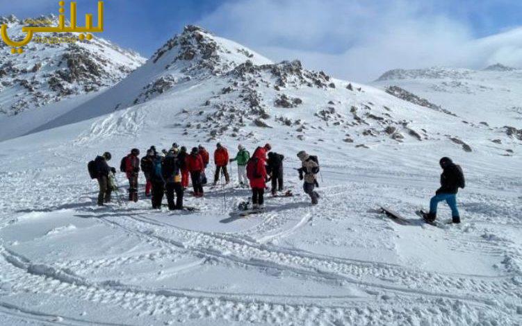 لوحة طبيعية آسرة تجمع بين البياض الناصع